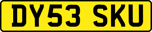 DY53SKU