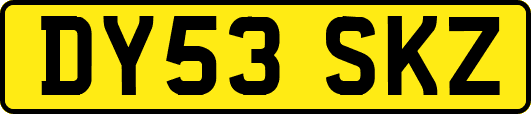 DY53SKZ