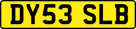DY53SLB