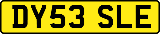 DY53SLE