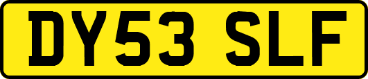 DY53SLF