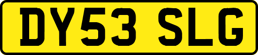 DY53SLG