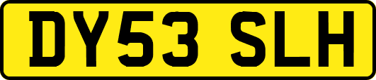 DY53SLH