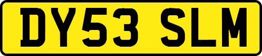 DY53SLM