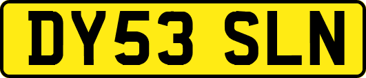 DY53SLN