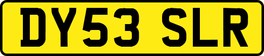 DY53SLR