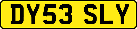 DY53SLY