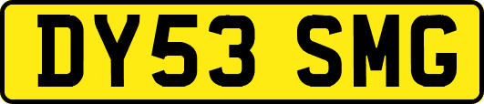 DY53SMG
