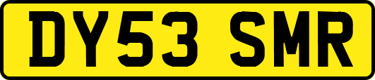 DY53SMR