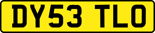 DY53TLO