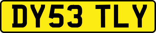 DY53TLY
