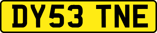 DY53TNE