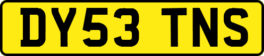 DY53TNS