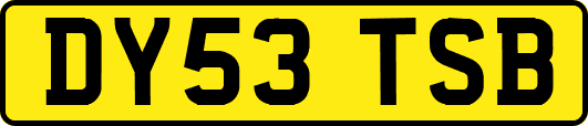 DY53TSB
