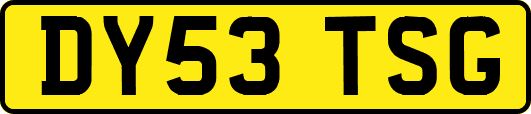 DY53TSG