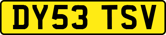 DY53TSV