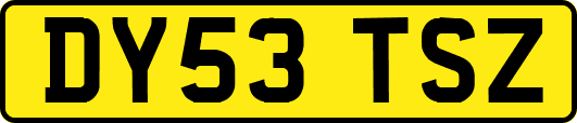 DY53TSZ