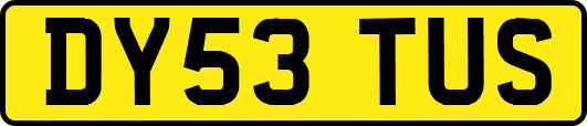 DY53TUS