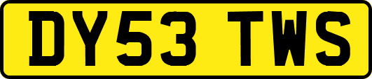 DY53TWS