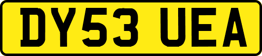 DY53UEA