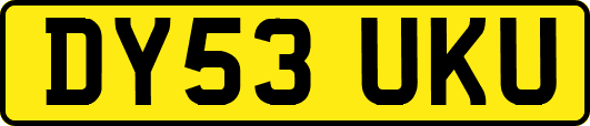 DY53UKU