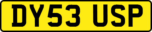 DY53USP