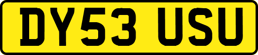 DY53USU
