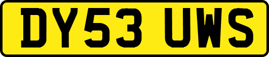 DY53UWS