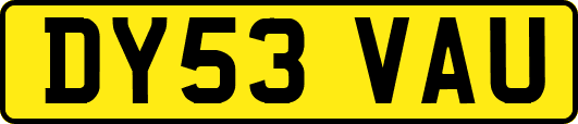 DY53VAU