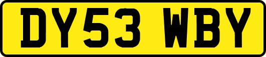 DY53WBY