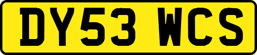 DY53WCS