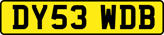 DY53WDB