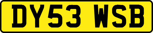 DY53WSB