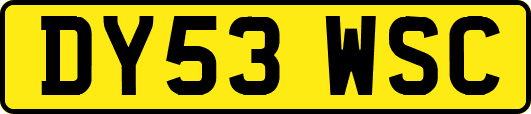 DY53WSC