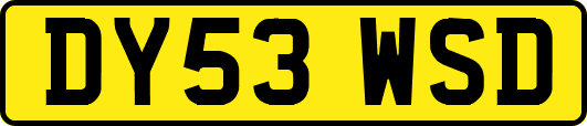 DY53WSD