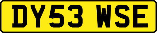 DY53WSE