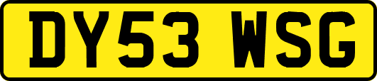 DY53WSG