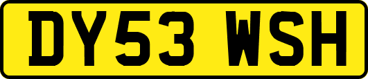 DY53WSH