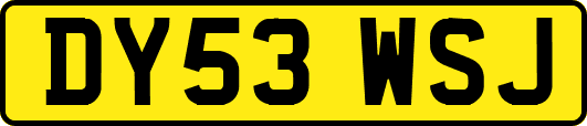 DY53WSJ