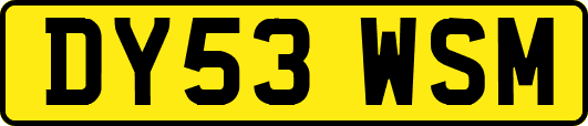 DY53WSM