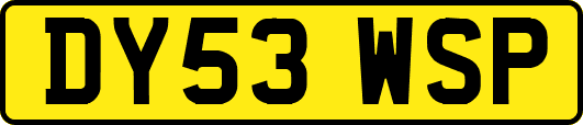 DY53WSP