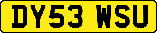 DY53WSU