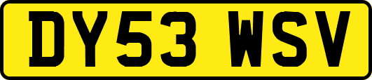 DY53WSV