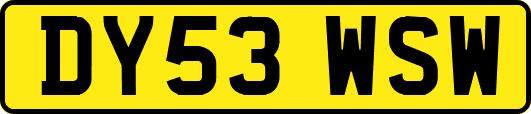 DY53WSW