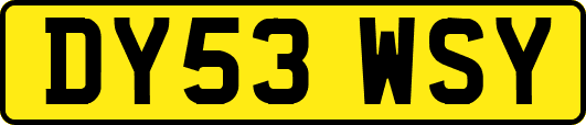 DY53WSY