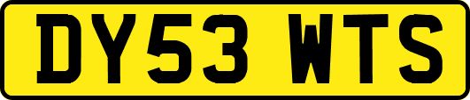 DY53WTS