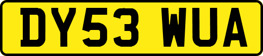 DY53WUA