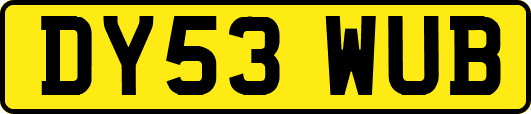 DY53WUB