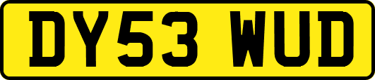DY53WUD