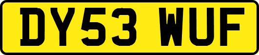 DY53WUF